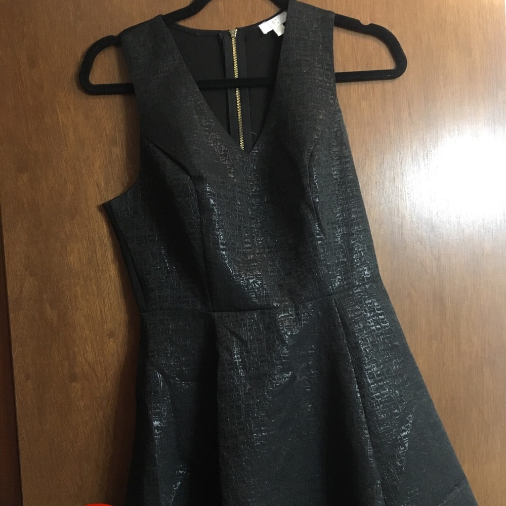 Charming Charlie Dress
